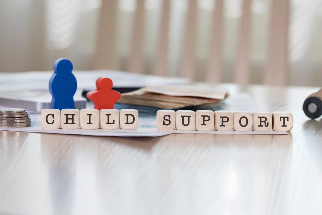 Special Circumstances in Child Support Calculation in Iowa