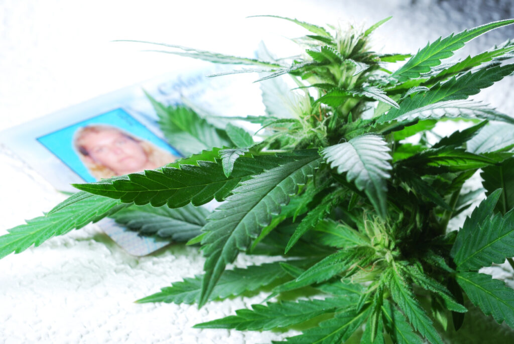 process of selling cannabis license in California
