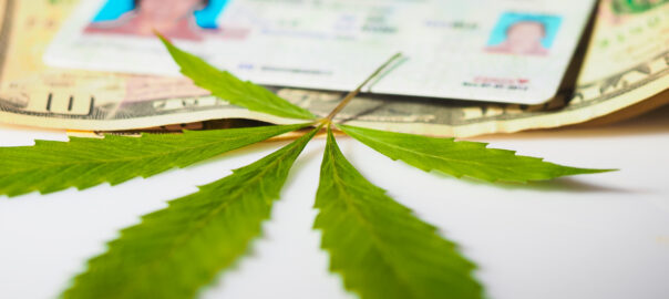 mistake in selling cannabis license in California