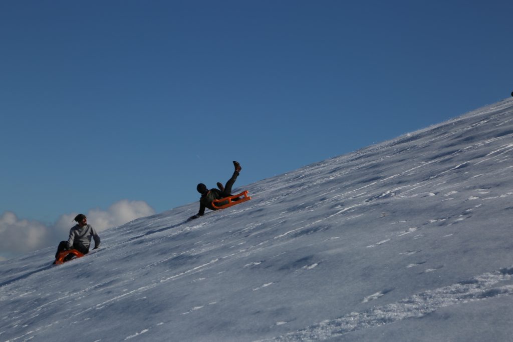 Comparative Negligence and Ski Collision Claim Payment