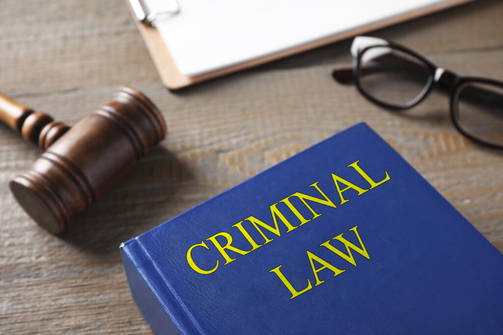 involvement of a Michigan criminal defense attorney